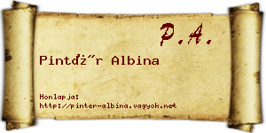 Pintér Albina névjegykártya
